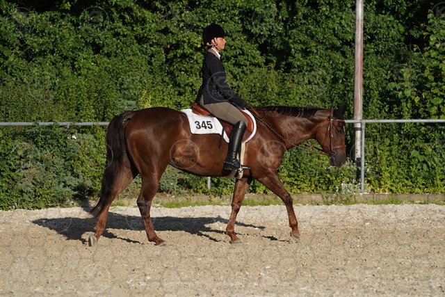 sA9K06051.JPG